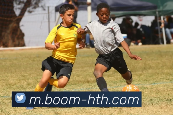 华体会APP 封面图